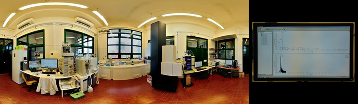 [Slide] Mass Spectrometry Laboratory at CQE-IST